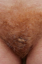 Hairy a bit 13