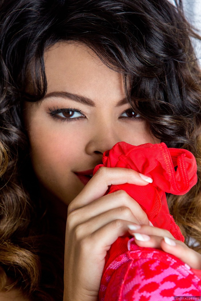 Kimberly Fox Exotic Beauty Babe