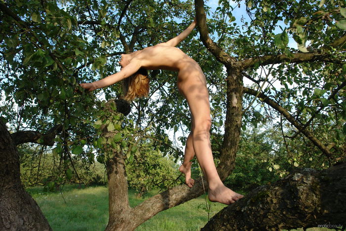 Brunette Teen Naked On Trees