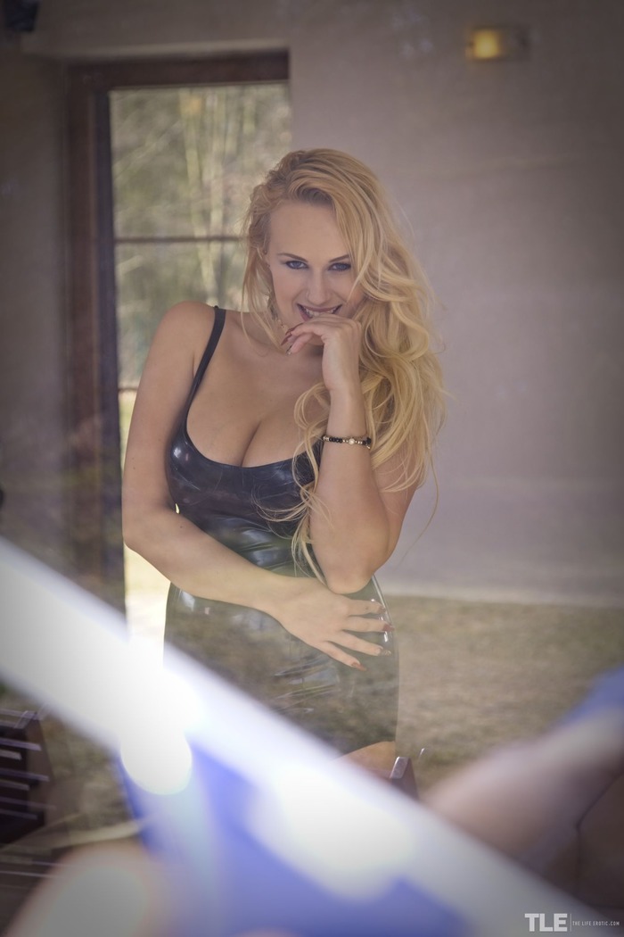 Window Cleaner